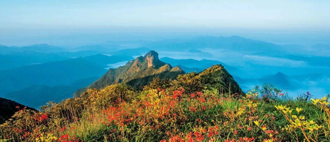 为什么年轻人迷上了爬山? | 秋高气爽<strong></p>
<p>币聪</strong>,是时候出发了→