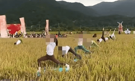 媒体：稻田开镰仪式<strong></p>
<p>币聪</strong>，表演哪门子瑜伽？