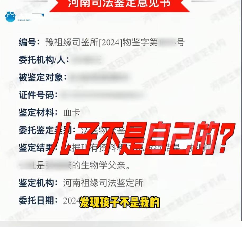 “天塌了<strong></p>
<p>怎样进入币圈</strong>，我一生都毁了”，男子称养了20年才发现儿子非亲生！前妻坚决否认