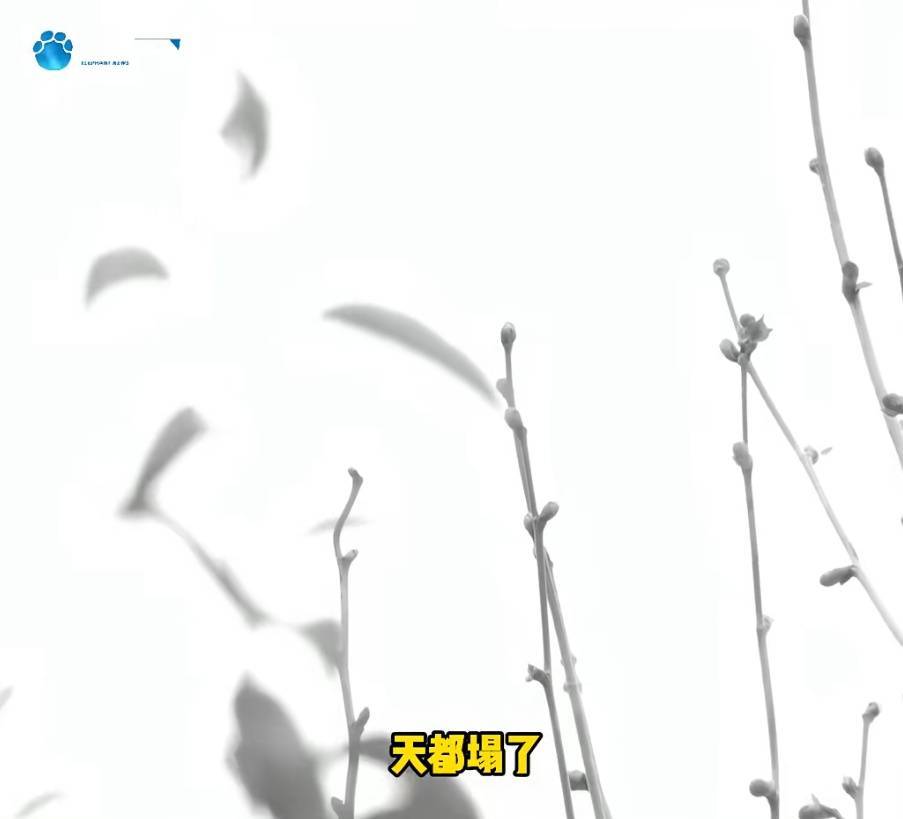 “天塌了<strong></p>
<p>怎样进入币圈</strong>，我一生都毁了”，男子称养了20年才发现儿子非亲生！前妻坚决否认