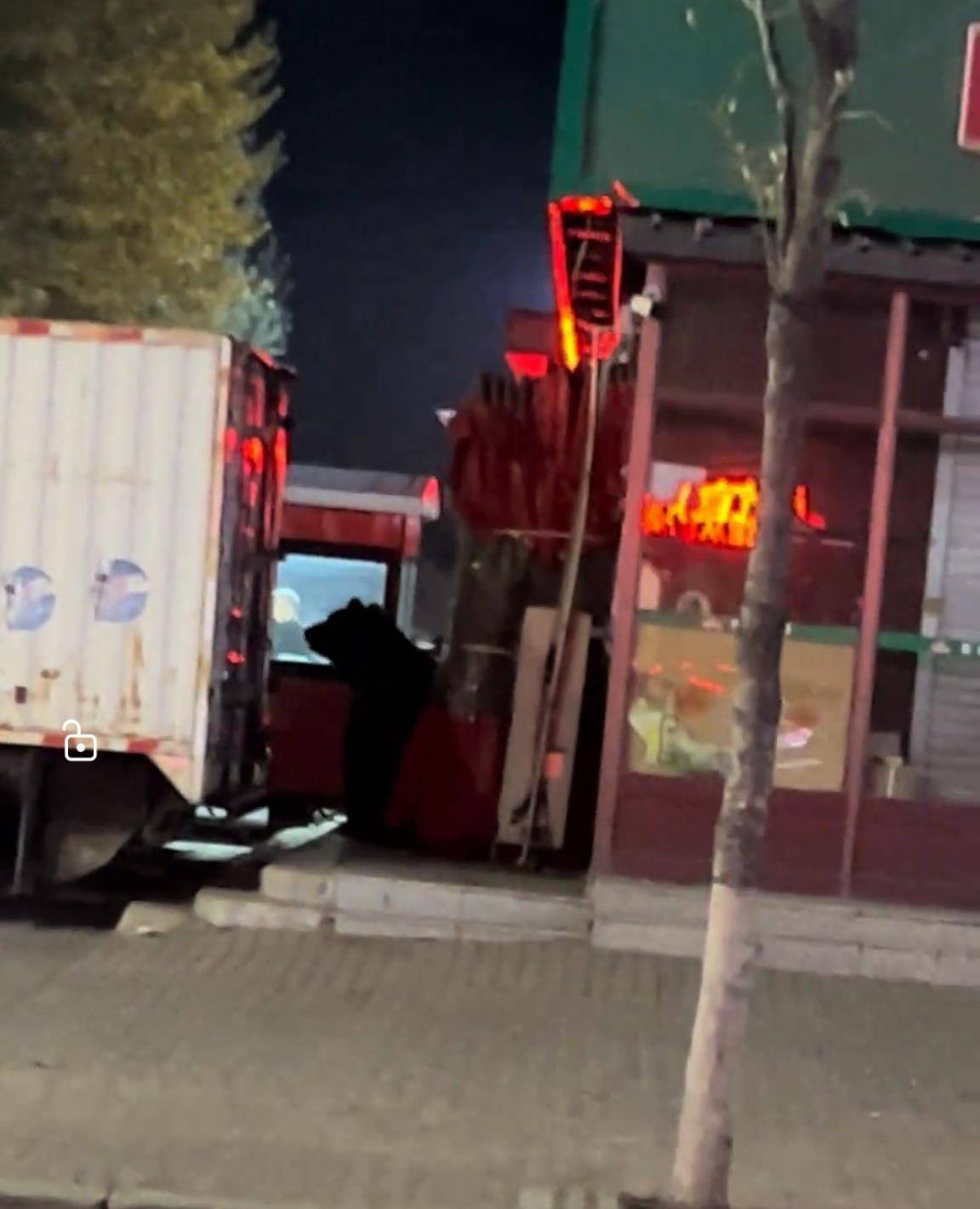 大黑熊夜里独闯黑龙江一县城闹市区<strong></p>
<p>怎样进入币圈</strong>，警方连开10多枪击毙，回应为何没用麻醉枪