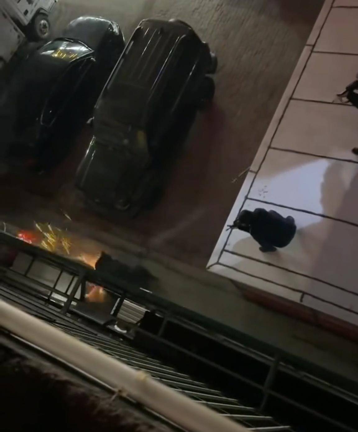 大黑熊夜里独闯黑龙江一县城闹市区<strong></p>
<p>怎样进入币圈</strong>，警方连开10多枪击毙，回应为何没用麻醉枪