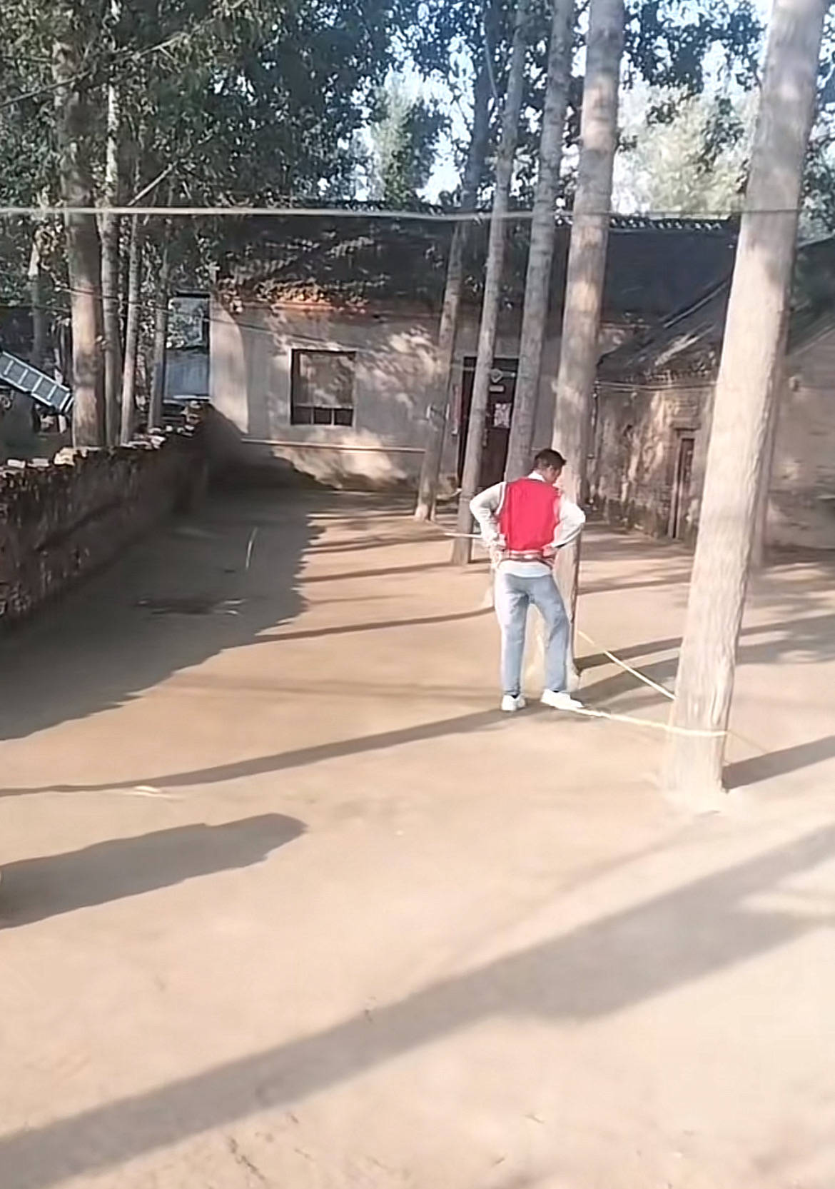 河南一大爷的院子因干净成网红打卡地<strong></p>
<p>福币价格</strong>，网友：像极了小时候家的样子，想拖鞋光脚丫子走