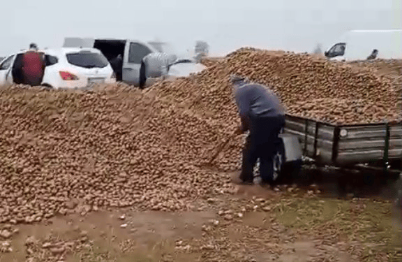 波兰68岁农民收获的150吨土豆被一夜搬空<strong></p>
<p>德币</strong>， 只因帖子遭篡改