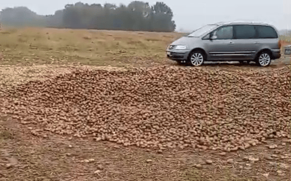 波兰68岁农民收获的150吨土豆被一夜搬空<strong></p>
<p>德币</strong>， 只因帖子遭篡改