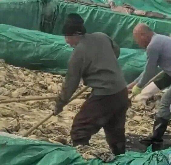 男子在酸菜池内抽烟吐痰<strong></p>
<p>币率兑换</strong>，官方通报！