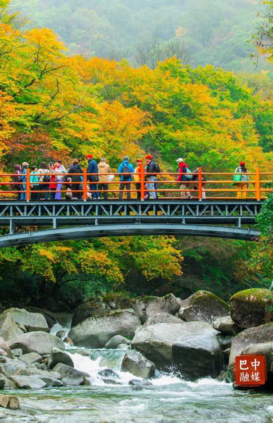 多图 ｜ 红叶遍山野 赏秋正当时 光雾山红叶进入最佳观赏期