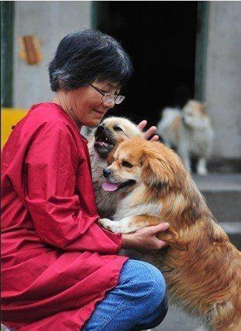 合肥卖房救助流浪狗的魏阿姨离世<strong></p>
<p>杀马特</strong>，病中仍然惦记着基地的600只流浪狗，工人：不敢相信世上还有这样执着的人