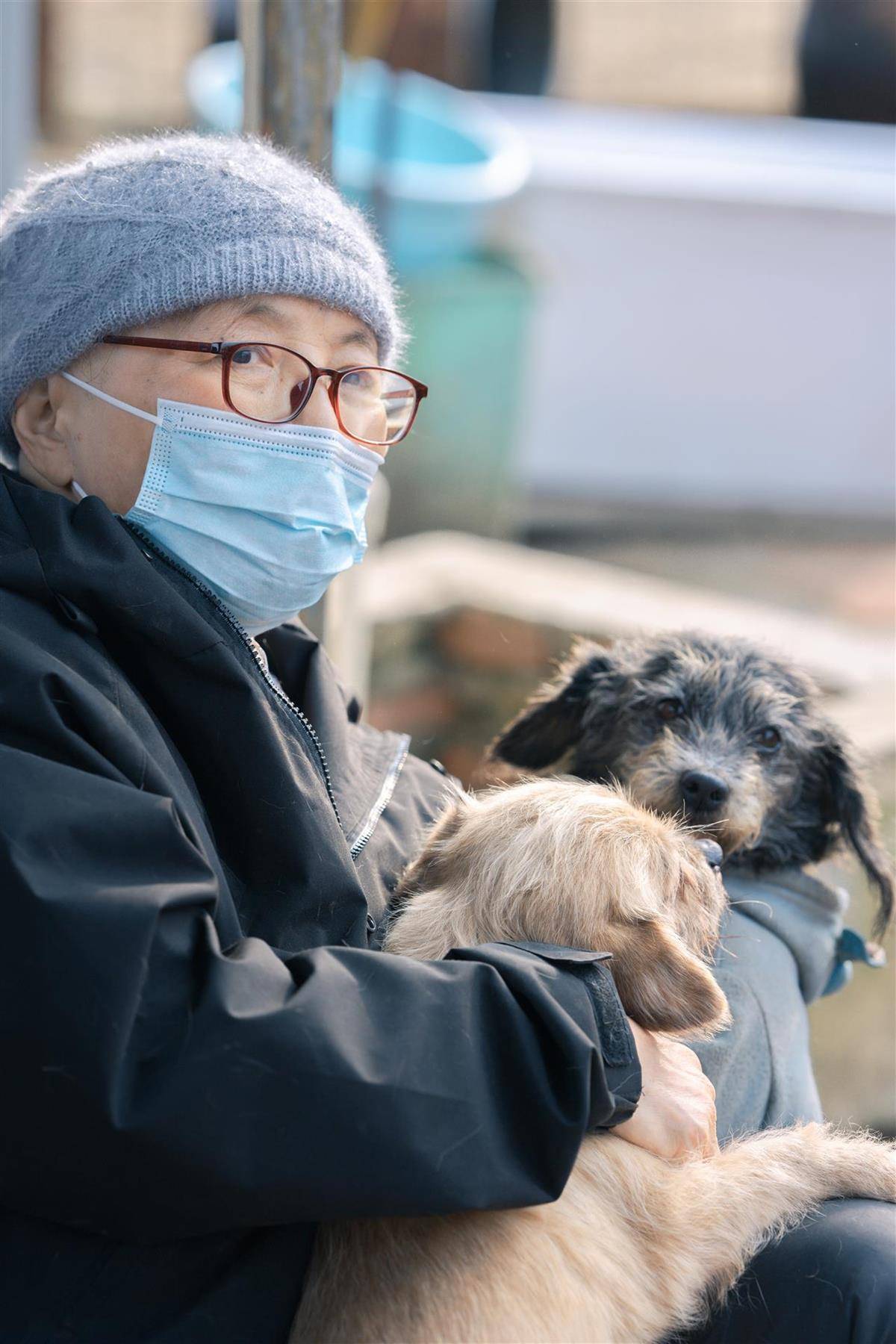 合肥卖房救助流浪狗的魏阿姨离世<strong></p>
<p>杀马特</strong>，病中仍然惦记着基地的600只流浪狗，工人：不敢相信世上还有这样执着的人