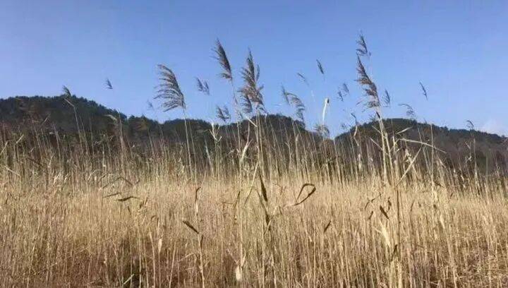 禁止任何形式穿越<strong></p>
<p>特币</strong>！杭州一地发布最严禁令