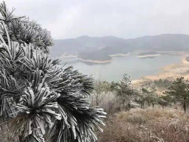 禁止任何形式穿越<strong></p>
<p>特币</strong>！杭州一地发布最严禁令