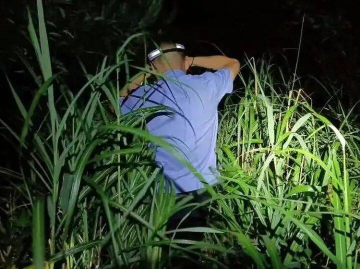 禁止任何形式穿越<strong></p>
<p>特币</strong>！杭州一地发布最严禁令