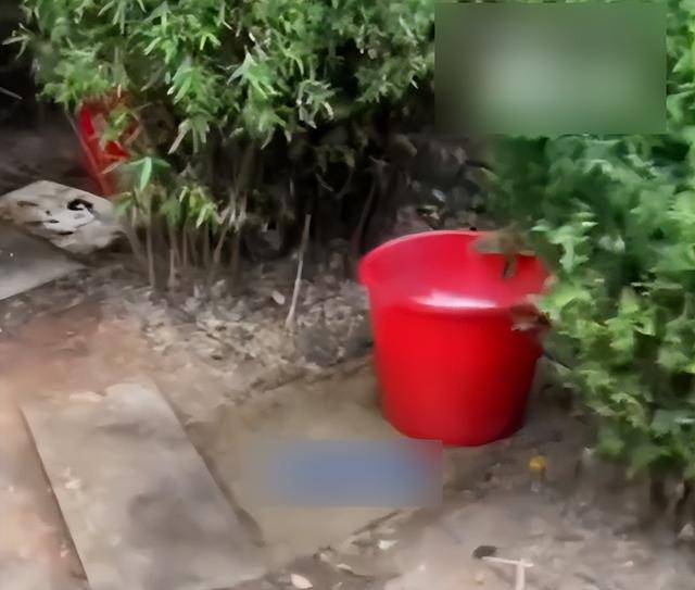 九江一公园摆3个尿桶供人露天小便<strong></p>
<p>淘币网</strong>，不到百米外就有公厕