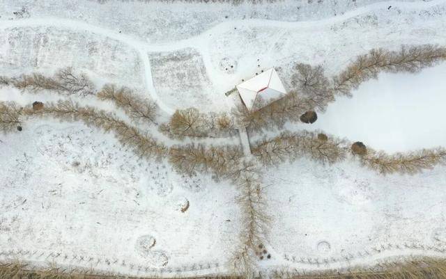 百年难遇“早立冬”来了<strong></p>
<p>淘币网</strong>！有啥讲究？早看早准备！