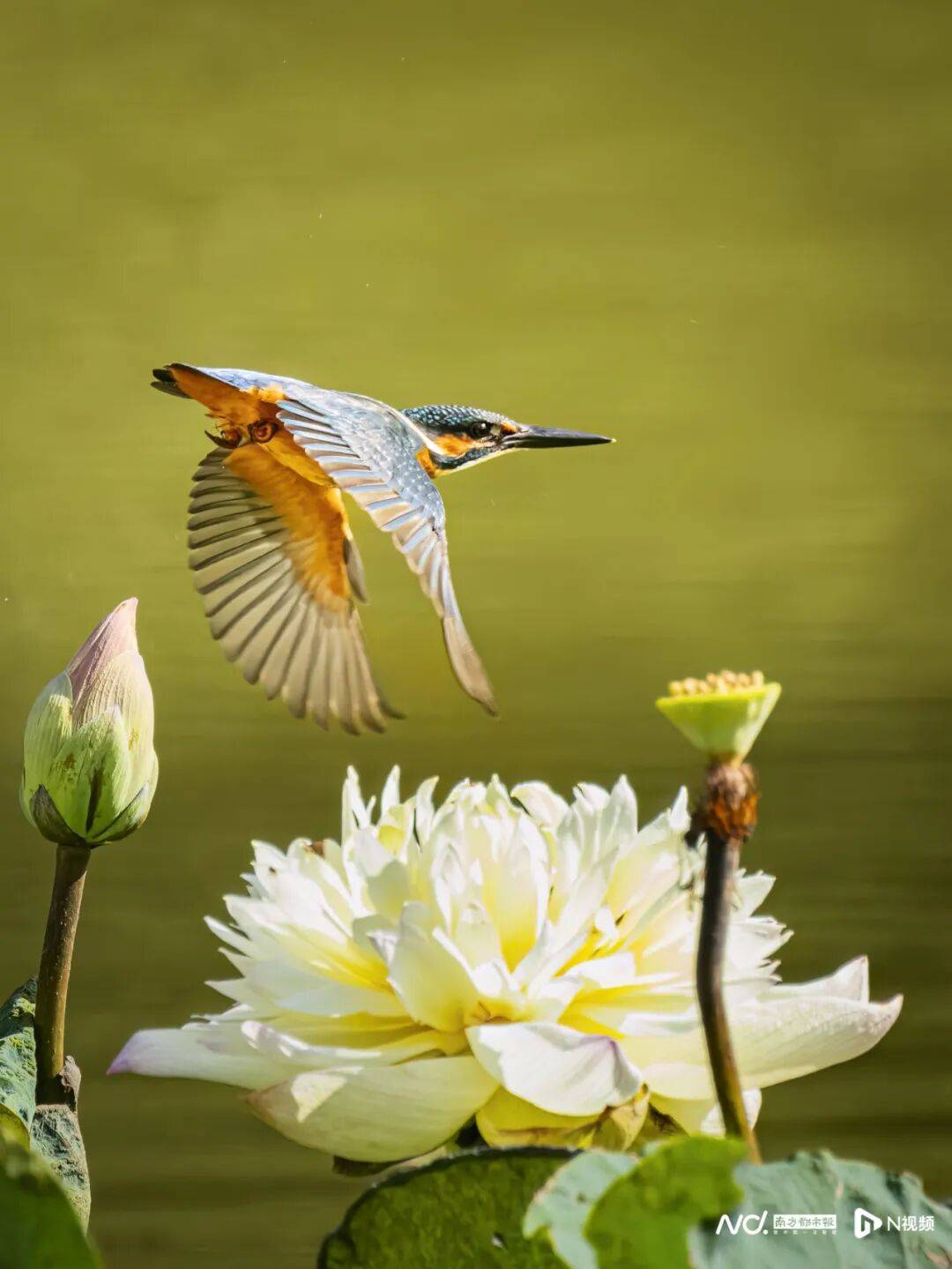 东莞最新发布：将严厉打击这些行为<strong></p>
<p>淘币网</strong>！