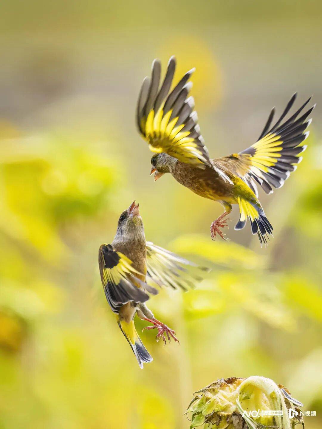 东莞最新发布：将严厉打击这些行为<strong></p>
<p>淘币网</strong>！