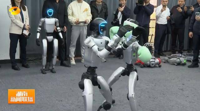 湖南省省长、浙江省省长<strong></p>
<p>币根网</strong>，一同观看机器人表演