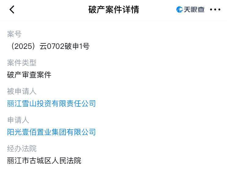 李亚鹏开发的雪山艺术小镇被申请破产<strong></p>
<p>芬币</strong>，原股东股权价值将归零？