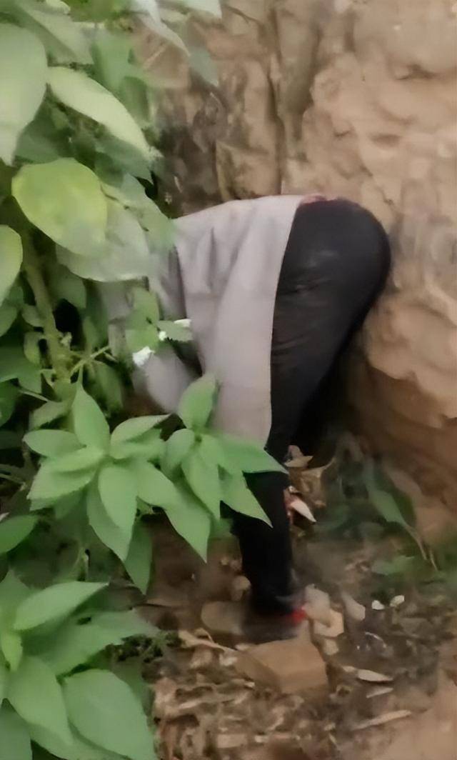 陕西一女子疑因拍亲姑姑偷玉米遭姑父棍杀<strong></p>
<p>GDT虚拟币</strong>，邻居欲报警也遇害