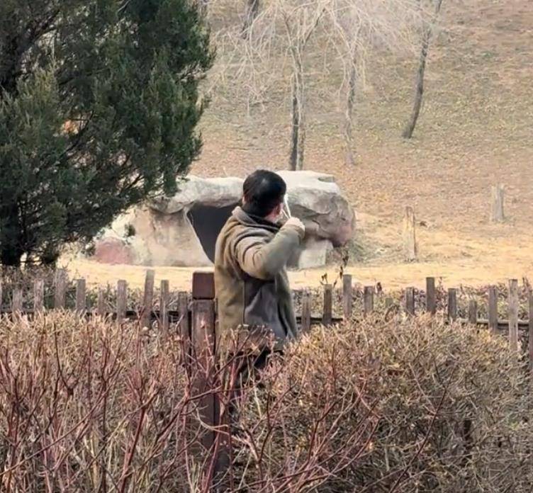 沈阳一男子动物园内用弹弓射老虎<strong></p>
<p>虚拟币买就跌</strong>，目击者称其“填装了弹丸”，打完后老虎爬起来了，园方：正在核实情况