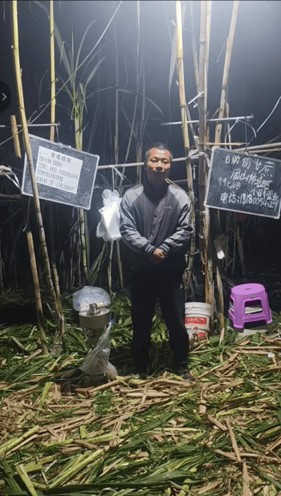 四川眉山自助“偷甘蔗”老板称有人只“偷”不给钱<strong></p>
<p>虚拟币买就跌</strong>，当地文旅：已安排人员现场协调