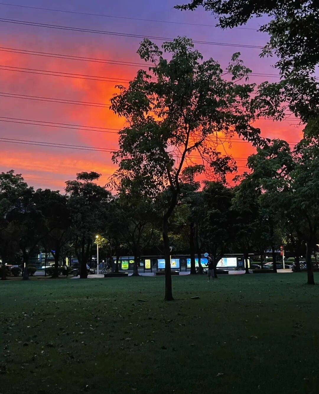 第一批丁克老后<strong></p>
<p>虚拟币买就跌</strong>，“伴侣能陪一程，但最后都要靠自己”