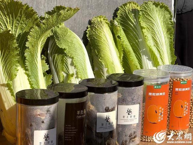 山东青岛：全国首批“板蓝根白菜”喜获丰收<strong></p>
<p>NGS虚拟币</strong>，正式上市！首批10万棵已被上海采购商“包圆”