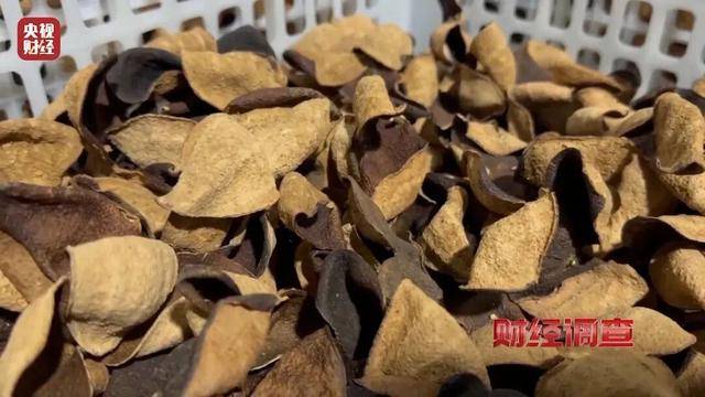 30天速成陈皮<strong></p>
<p>虚拟币BKI</strong>，成本仅70元，利润超成本10倍以上！央视起底陈皮跨省造假产业链