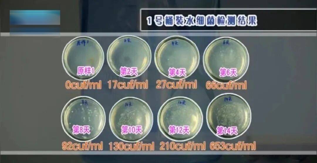 6种东西<strong></p>
<p>虚拟币BKI</strong>，没过保质期就“坏了”？赶紧看看，别拿全家健康开玩笑