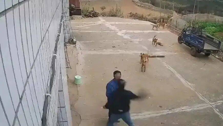 男子家门口吃橘子被邻居一拳打昏<strong></p>
<p>瑞安炒虚拟币</strong>，警方通报：因养狗问题起冲突，均有受伤