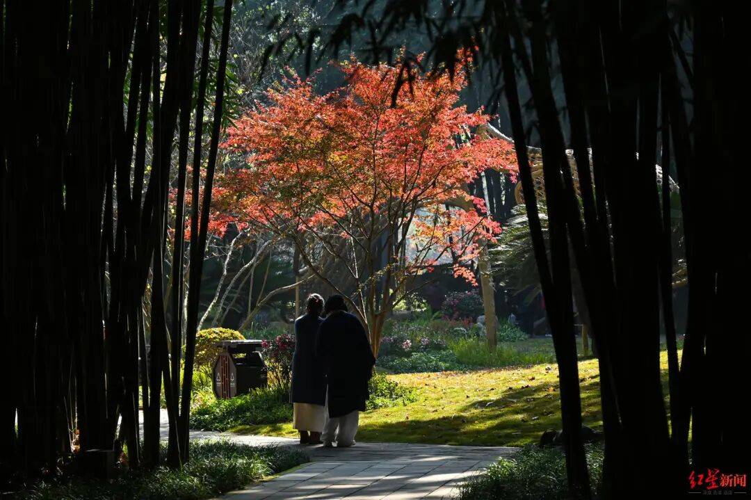 我国已进入拉尼娜状态<strong></p>
<p>买虚拟币赔钱</strong>！四川今冬或“前暖后冷”