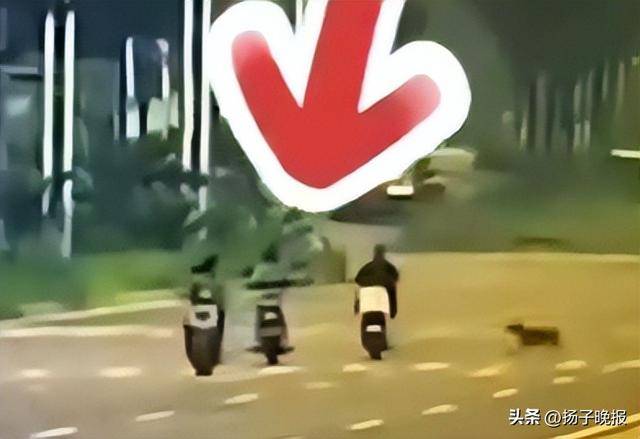 女子骑行被未拴绳大狗撞倒身亡<strong></p>
<p>买虚拟币赔钱</strong>，5个月后丈夫突发脑溢血进ICU，家中还有3个孩子两个老人