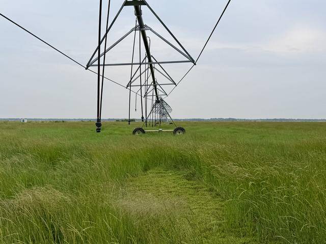 北京送到内蒙古的一株羊草<strong></p>
<p>买虚拟币赔钱</strong>，入选了全球最佳减贫案例