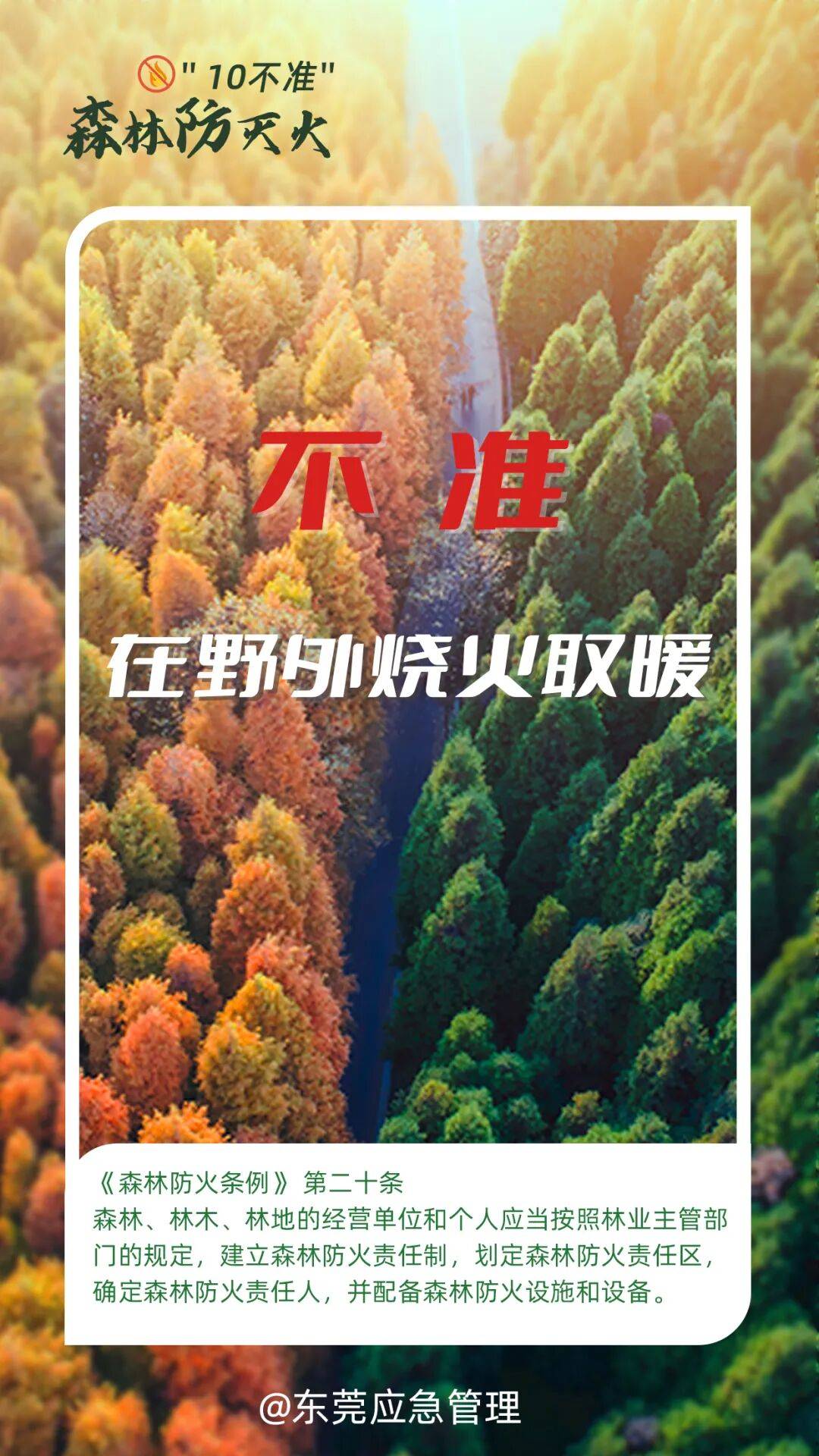 深圳坪山区突发山火<strong></p>
<p>co虚拟币</strong>，最新通报：明火已扑灭，无人员伤亡