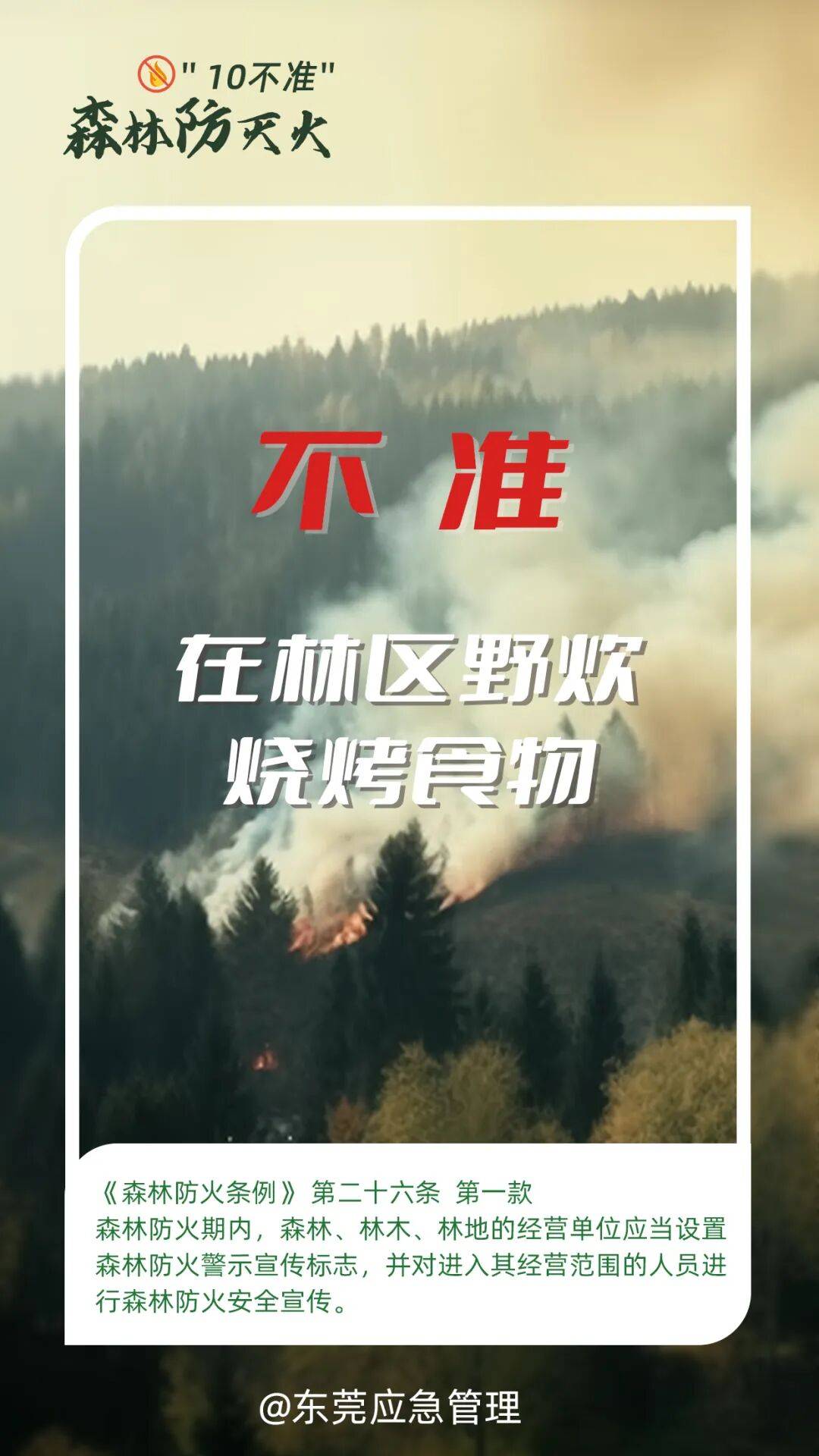 深圳坪山区突发山火<strong></p>
<p>co虚拟币</strong>，最新通报：明火已扑灭，无人员伤亡