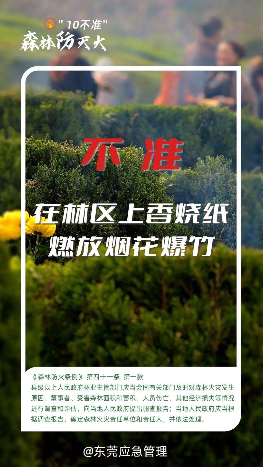 深圳坪山区突发山火<strong></p>
<p>co虚拟币</strong>，最新通报：明火已扑灭，无人员伤亡