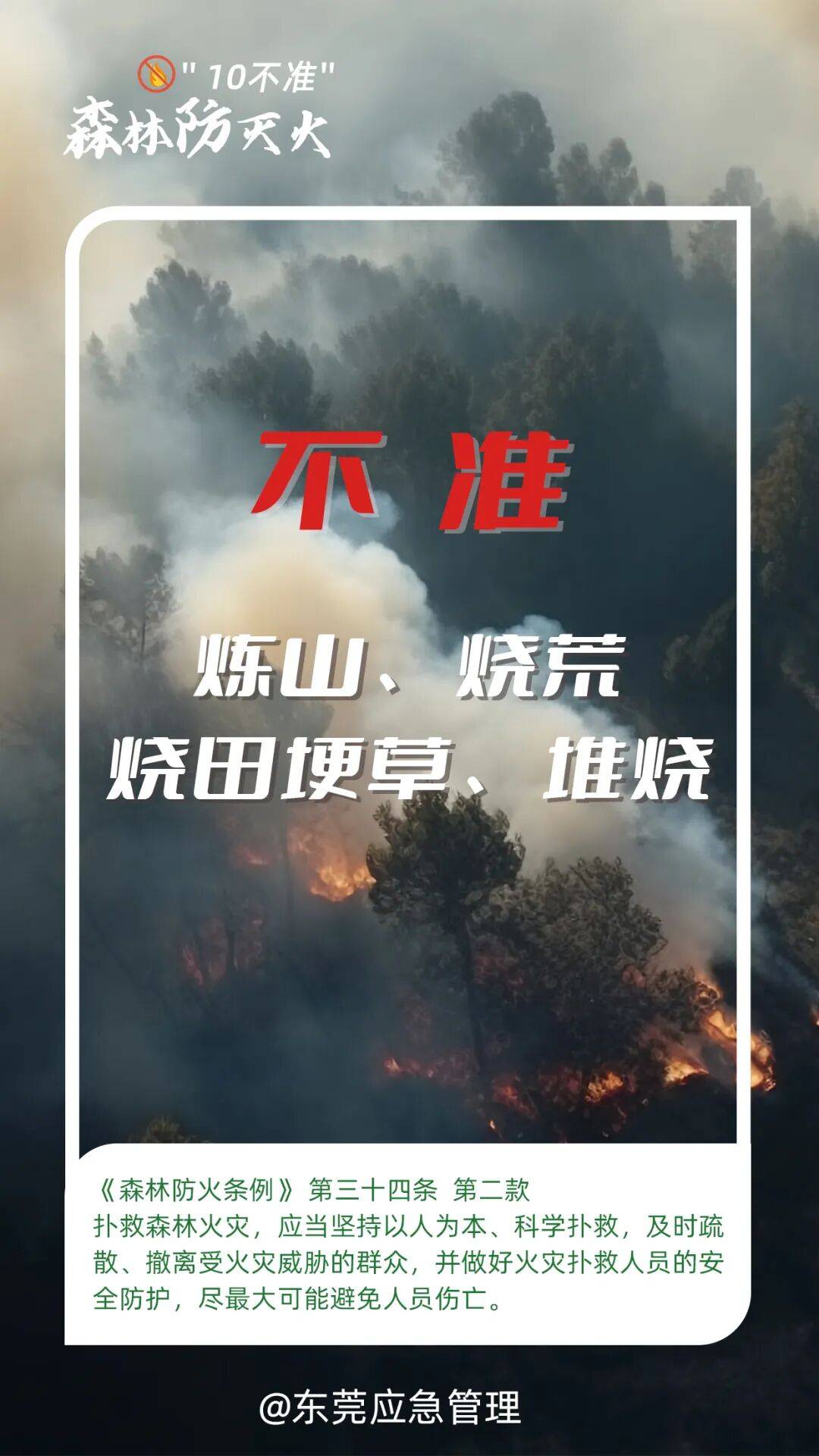 深圳坪山区突发山火<strong></p>
<p>co虚拟币</strong>，最新通报：明火已扑灭，无人员伤亡