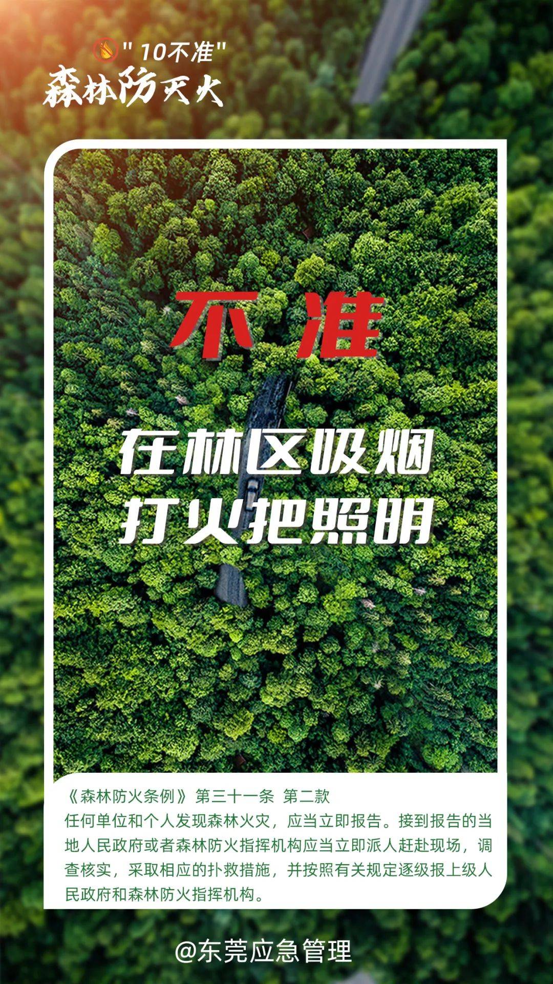 深圳坪山区突发山火<strong></p>
<p>co虚拟币</strong>，最新通报：明火已扑灭，无人员伤亡