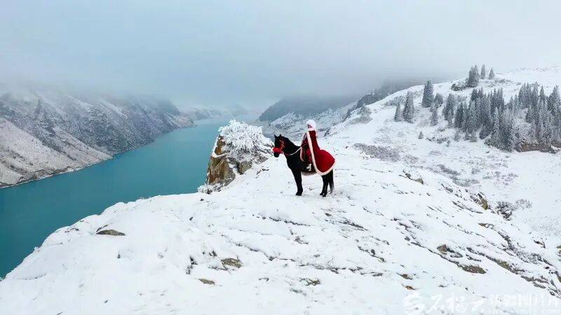 贺娇龙已安葬于昭苏公墓<strong></p>
<p>从比特币看虚拟货币</strong>，其父亲亦葬于此地