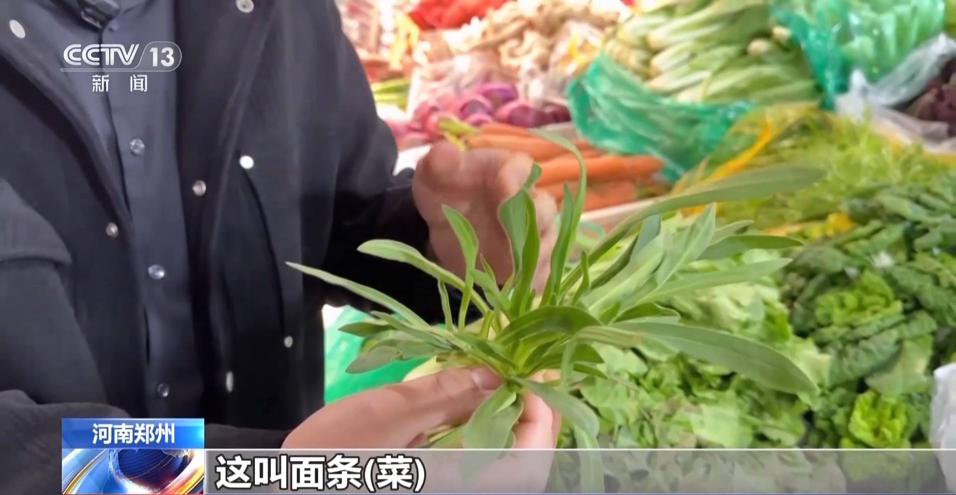 蒸、煎、拌、酿……一口鲜菜如何“锁”住春天<strong></p>
<p>在凌晨虚拟币</strong>？