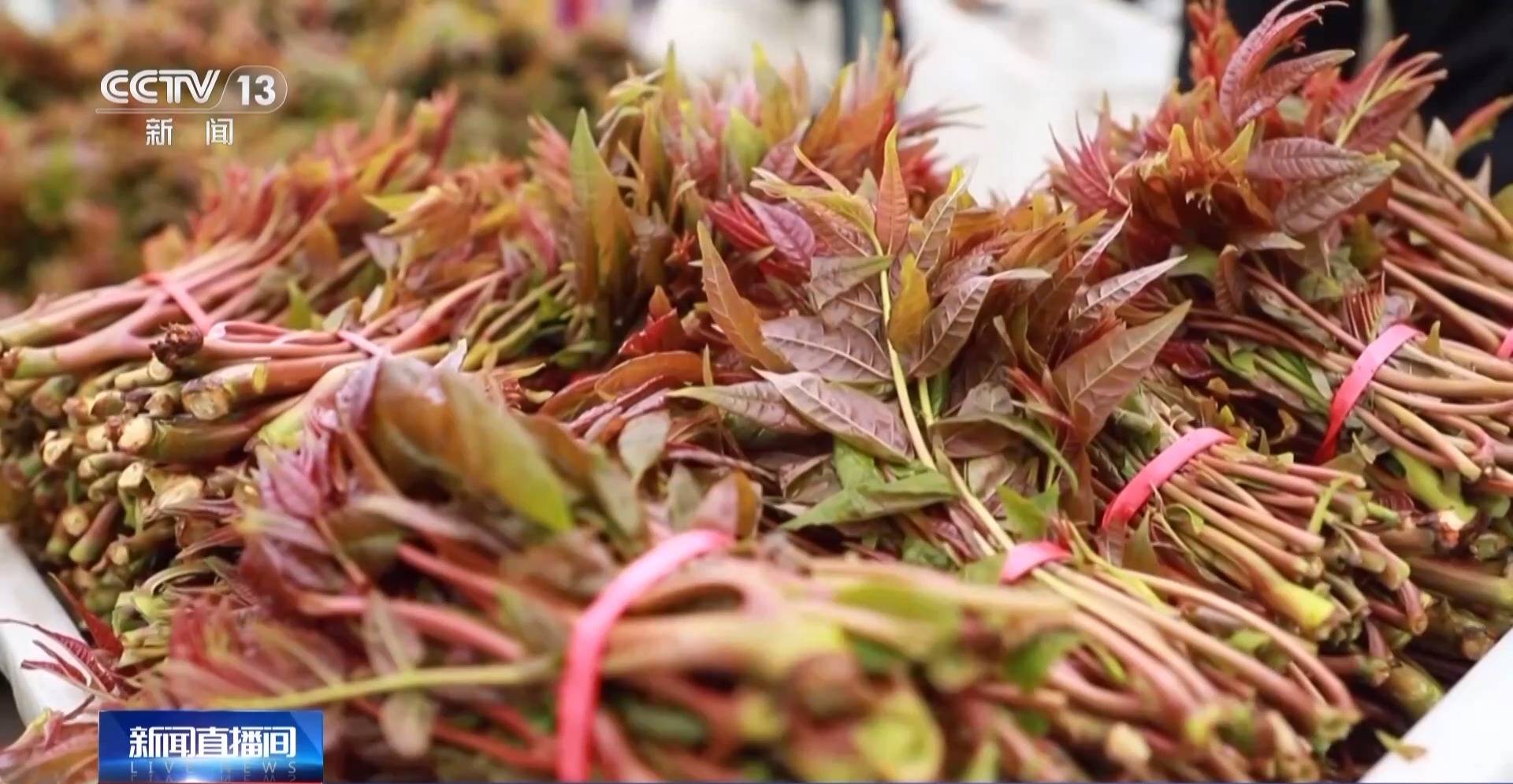 蒸、煎、拌、酿……一口鲜菜如何“锁”住春天<strong></p>
<p>在凌晨虚拟币</strong>？