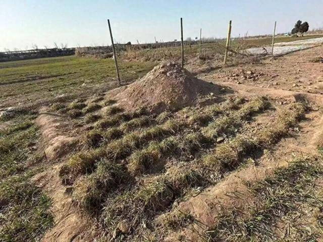 “三姐妹给父亲上坟被炸身亡案”家属最新发声:直播时2次遭死亡威胁,“请帮我保住最后一个妹妹”;警方已立案侦查