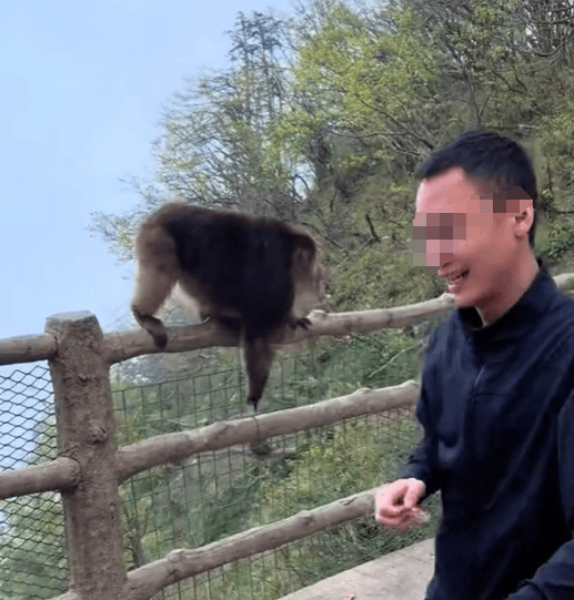 猛推峨眉山猴子的男子已致歉<strong></p>
<p>HLD虚拟币</strong>，三年内禁止进入景区！猴子没事