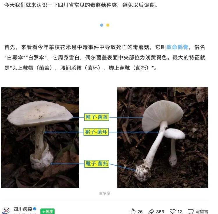 郑州一火锅店菜单现剧毒“白杆杆”？店家称正规渠道采购<strong></p>
<p>新口子虚拟币</strong>，当地市监未接到相关投诉